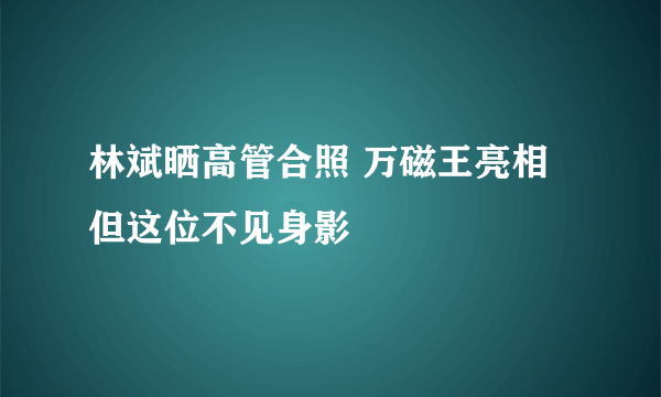 林斌晒高管合照 万磁王亮相但这位不见身影