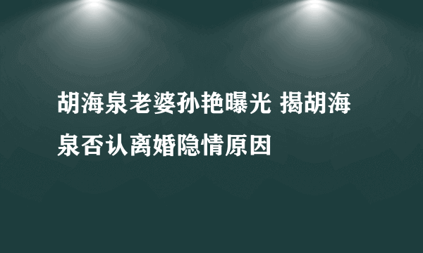 胡海泉老婆孙艳曝光 揭胡海泉否认离婚隐情原因