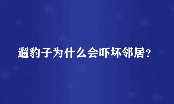 遛豹子为什么会吓坏邻居？