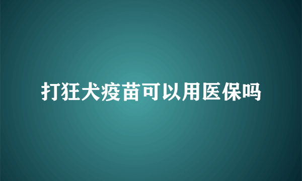 打狂犬疫苗可以用医保吗