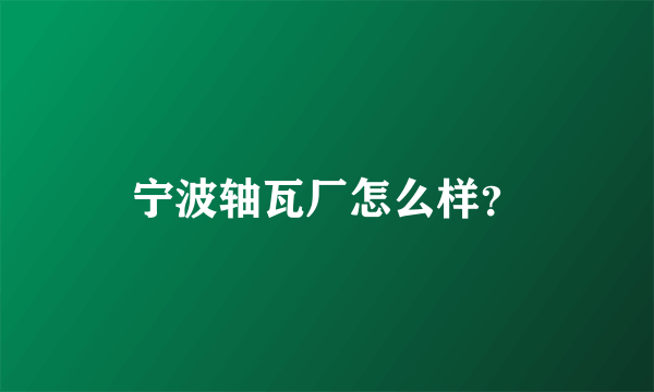 宁波轴瓦厂怎么样？