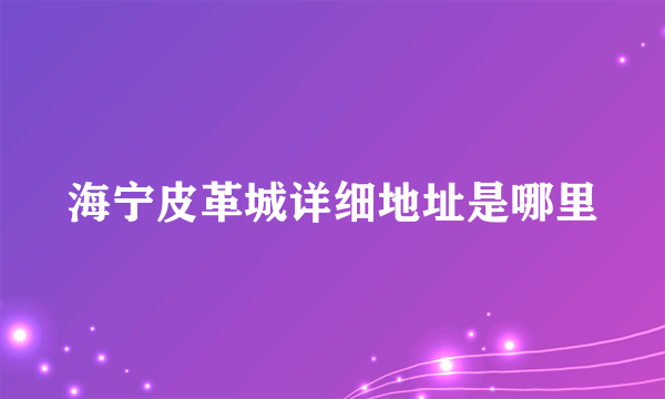 海宁皮革城详细地址是哪里