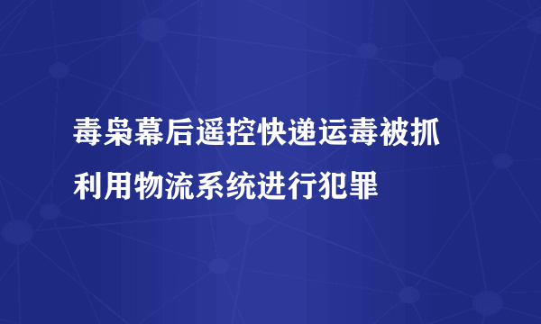 毒枭幕后遥控快递运毒被抓 利用物流系统进行犯罪