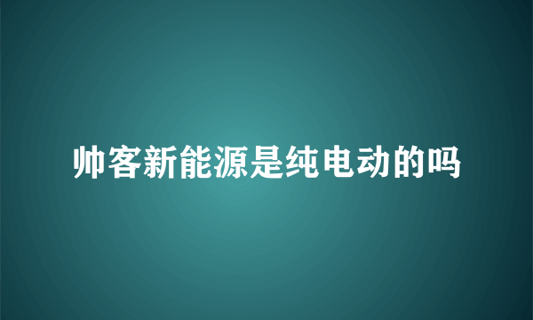 帅客新能源是纯电动的吗