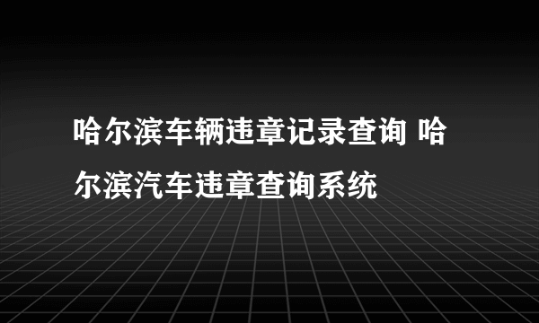 哈尔滨车辆违章记录查询 哈尔滨汽车违章查询系统