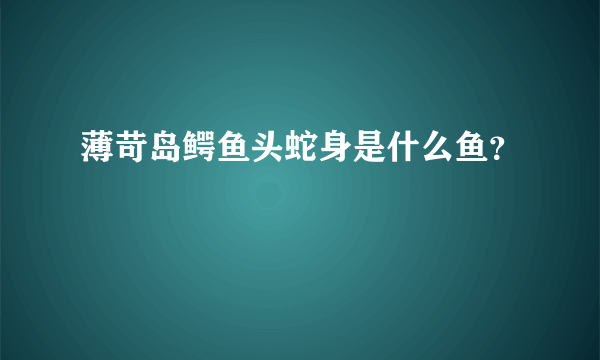 薄苛岛鳄鱼头蛇身是什么鱼？