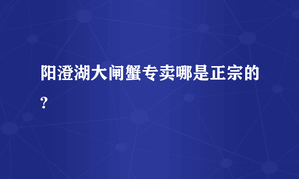 阳澄湖大闸蟹专卖哪是正宗的?