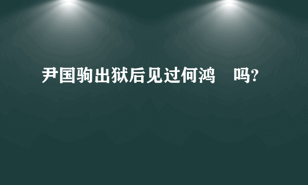 尹国驹出狱后见过何鸿燊吗?