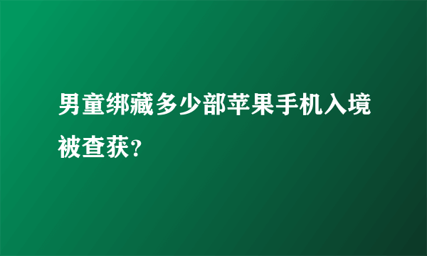 男童绑藏多少部苹果手机入境被查获？