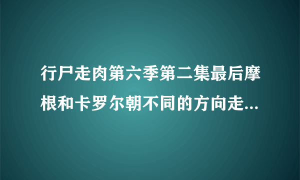 行尸走肉第六季第二集最后摩根和卡罗尔朝不同的方向走预示着什么