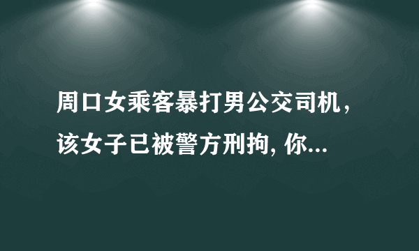 周口女乘客暴打男公交司机，该女子已被警方刑拘, 你怎么看？