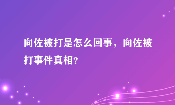 向佐被打是怎么回事，向佐被打事件真相？