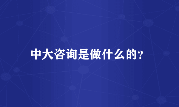 中大咨询是做什么的？