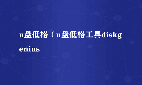 u盘低格（u盘低格工具diskgenius