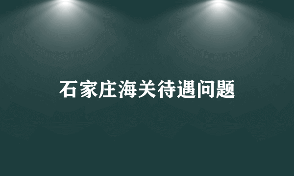 石家庄海关待遇问题