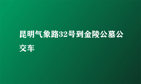 昆明气象路32号到金陵公墓公交车