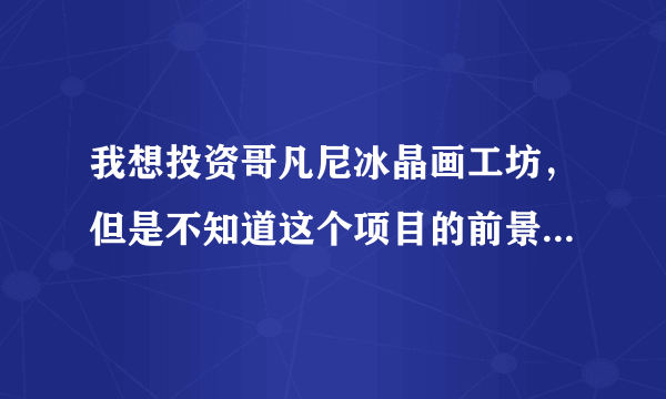 我想投资哥凡尼冰晶画工坊，但是不知道这个项目的前景如何，我该怎么去考察？