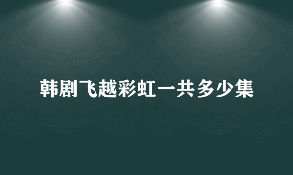 韩剧飞越彩虹一共多少集