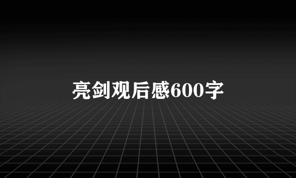 亮剑观后感600字