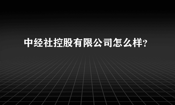 中经社控股有限公司怎么样？