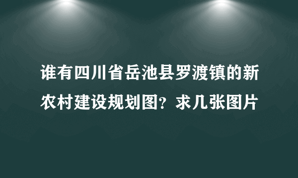 谁有四川省岳池县罗渡镇的新农村建设规划图？求几张图片