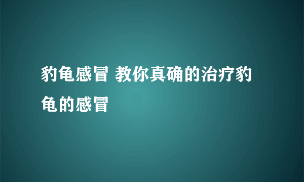 豹龟感冒 教你真确的治疗豹龟的感冒