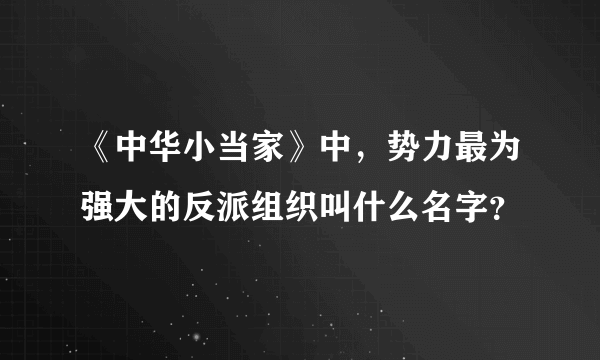 《中华小当家》中，势力最为强大的反派组织叫什么名字？