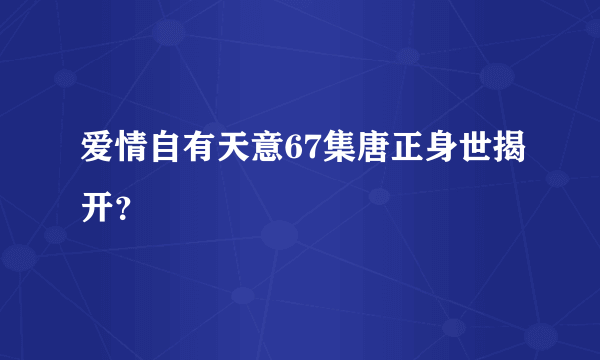 爱情自有天意67集唐正身世揭开？