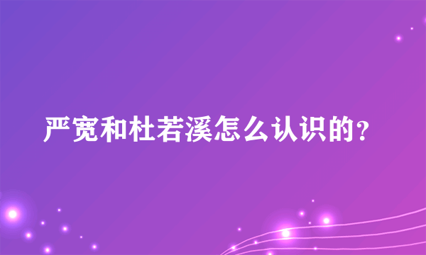 严宽和杜若溪怎么认识的？