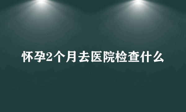 怀孕2个月去医院检查什么