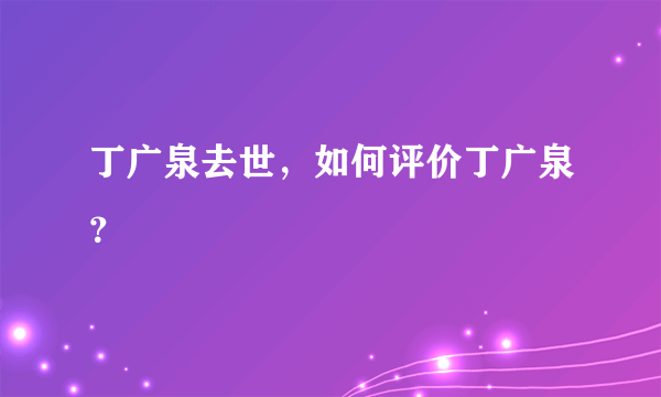 丁广泉去世，如何评价丁广泉？