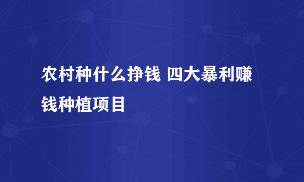 农村种什么挣钱 四大暴利赚钱种植项目