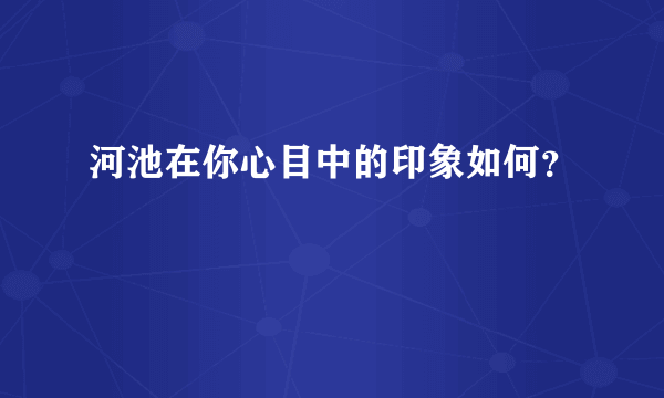 河池在你心目中的印象如何？