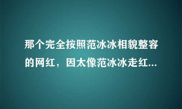 那个完全按照范冰冰相貌整容的网红，因太像范冰冰走红，结果如何？