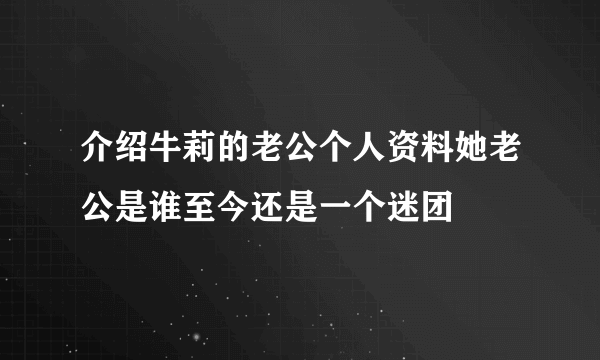 介绍牛莉的老公个人资料她老公是谁至今还是一个迷团