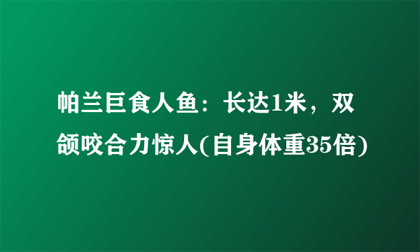 帕兰巨食人鱼：长达1米，双颌咬合力惊人(自身体重35倍)