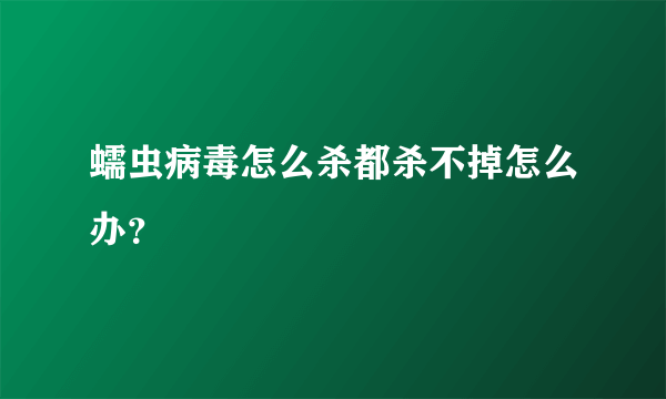 蠕虫病毒怎么杀都杀不掉怎么办？