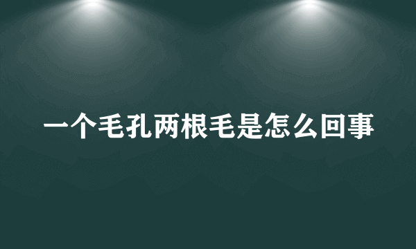 一个毛孔两根毛是怎么回事