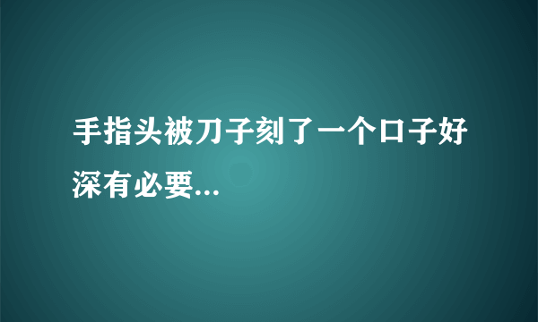 手指头被刀子刻了一个口子好深有必要...