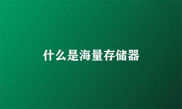 什么是海量存储器