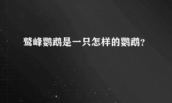 鹫峰鹦鹉是一只怎样的鹦鹉？