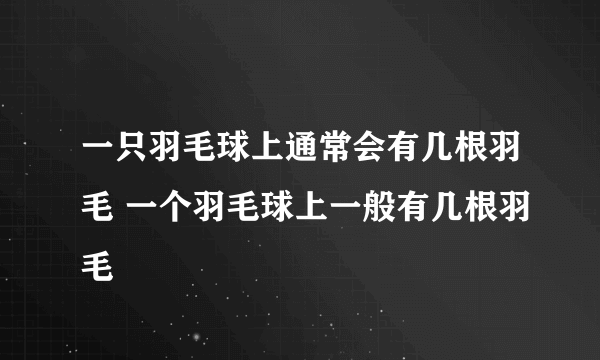 一只羽毛球上通常会有几根羽毛 一个羽毛球上一般有几根羽毛