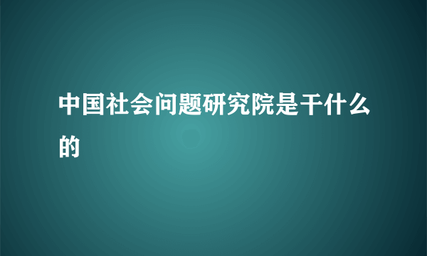 中国社会问题研究院是干什么的