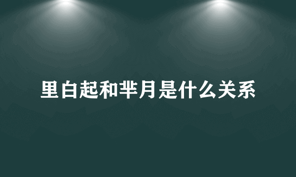 里白起和芈月是什么关系