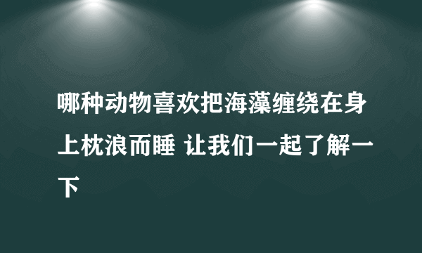 哪种动物喜欢把海藻缠绕在身上枕浪而睡 让我们一起了解一下