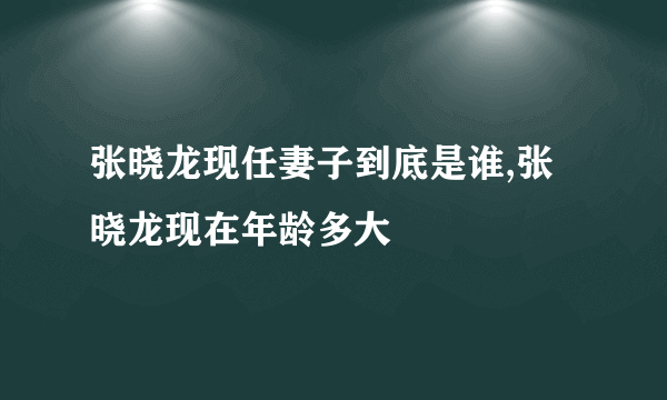 张晓龙现任妻子到底是谁,张晓龙现在年龄多大