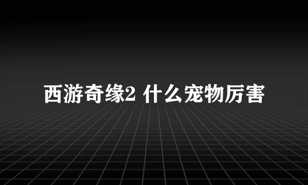 西游奇缘2 什么宠物厉害