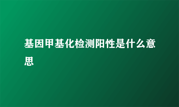 基因甲基化检测阳性是什么意思