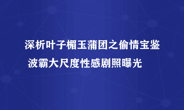 深析叶子楣玉蒲团之偷情宝鉴 波霸大尺度性感剧照曝光