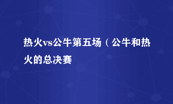 热火vs公牛第五场（公牛和热火的总决赛